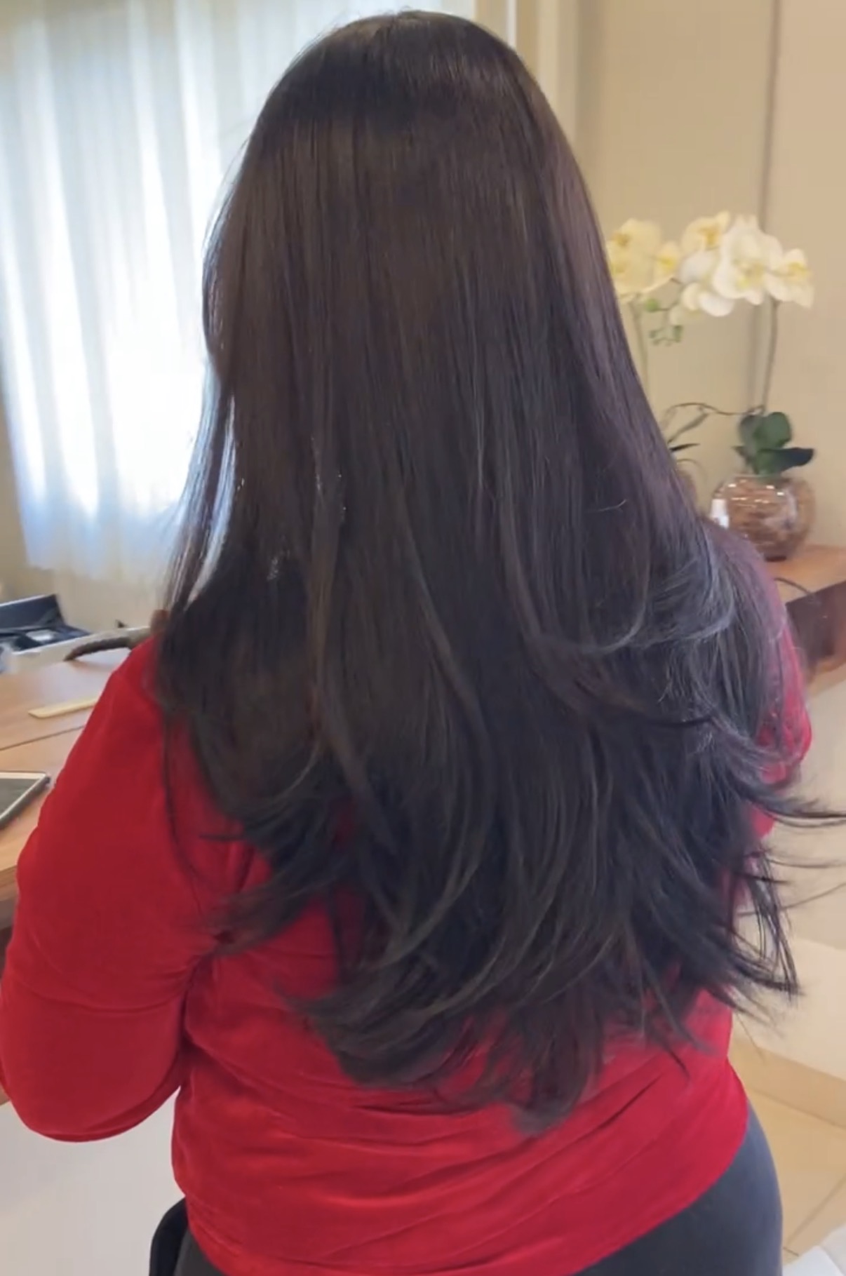 Corte e movimento